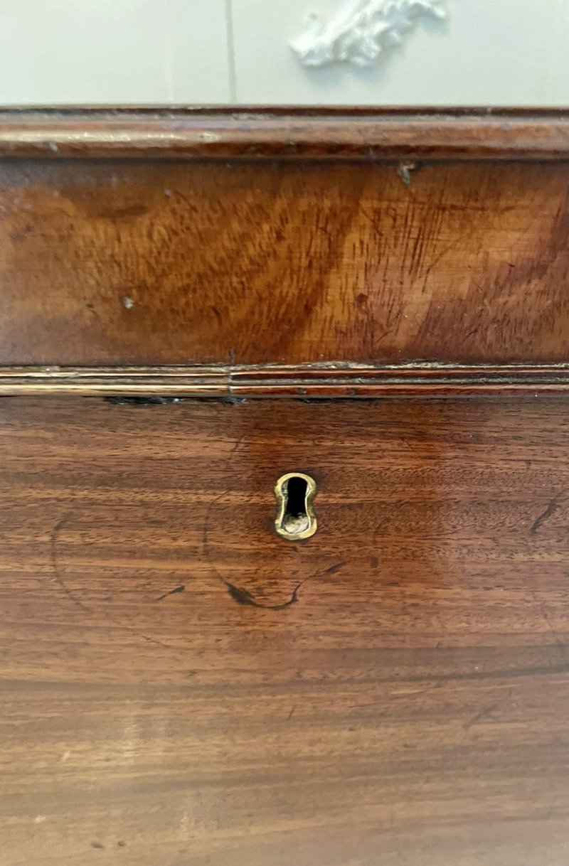 Large George III Antique Mahogany Cellarette/Wine Cooler - Image 17